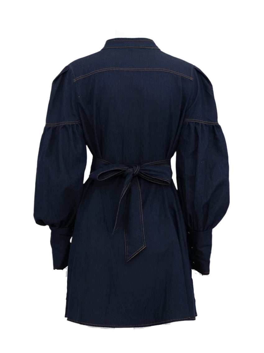 Solveig  Denim Dress