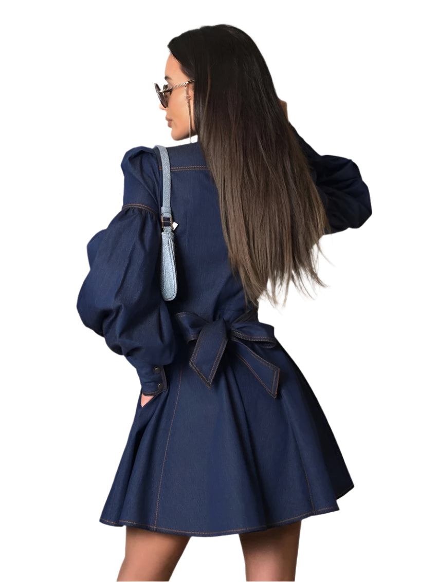 Solveig  Denim Dress