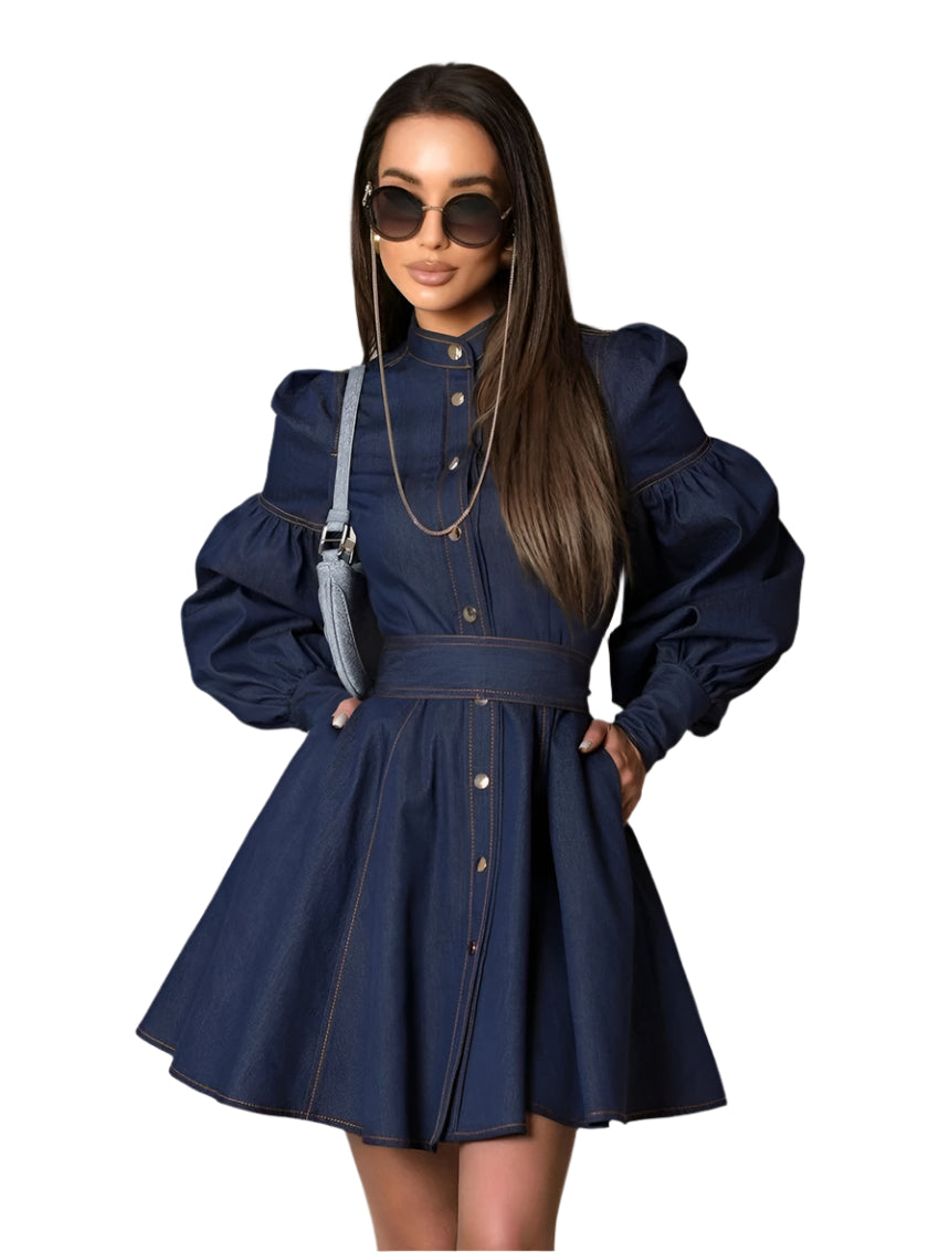 Solveig  Denim Dress