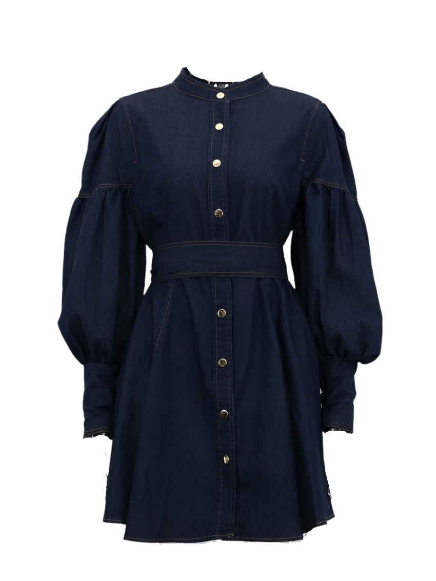 Solveig  Denim Dress