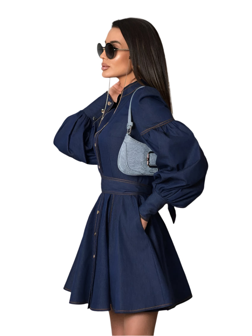 Solveig  Denim Dress